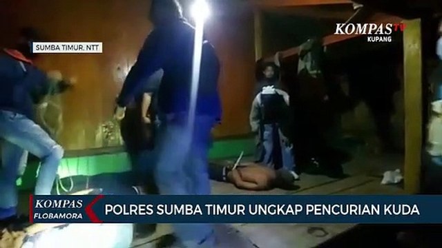 Polres Sumba Timur Ungkap Kasus Pencurian Ternak Kuda