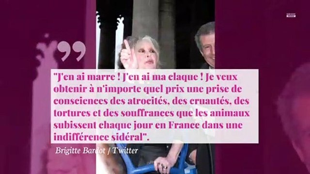 Brigitte Bardot en colère sur Twitter, elle s'attaque violemment au gouvernement
