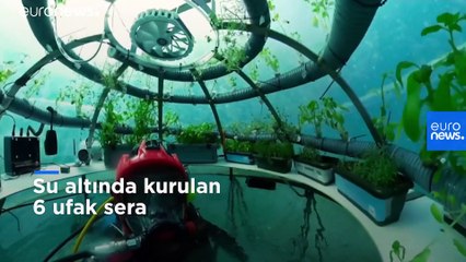 Dünyanın ilk su altı çiftliğinde meyve sebze üretimi tekrar başladı