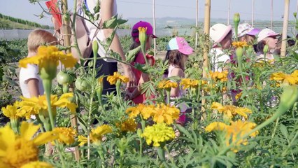 Nell'orto dello chef stellato: così i bambini scoprono la genuinità a tavola