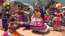Tribals In Mohana Celebrate Unique Festival For Better Harvest