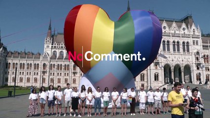 Activists protest Hungary's discriminatory LGBT law
