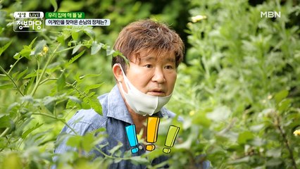 우리 집에 해 뜰 날