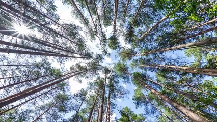 Byggherre - Så lyckas du