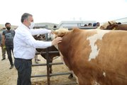 Başkan Demirbaş, hayvan pazarında incelemelerde bulundu