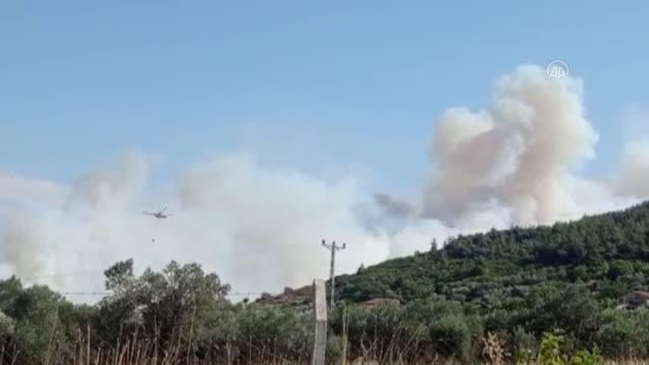 İzmir'de çıkan orman yangınına müdahale ediliyor