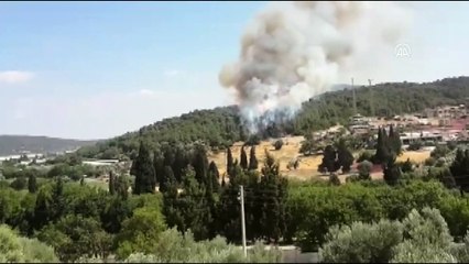İZMİR - Çıkan orman yangınına müdahale ediliyor (2)