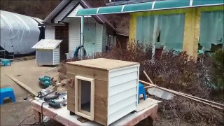 [Diy] Simple Easy  Dog House Build ( Puppy House )