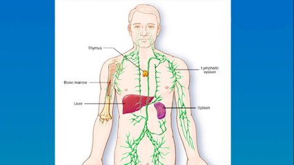 bd-ganglios-inflamados-sus-causas-caracteristicas-y-tratanientos-080721