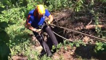 AMASYA - Kuyuya düşen köpeği AFAD ekipleri kurtardı