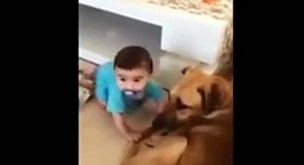 Dünya bu videoyu konuşuyor!