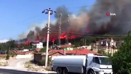 Foça yangınına müdahale devam ediyor