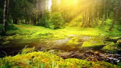 Relaxing Music Beautiful Piano Music, Background Music, Sleep Music