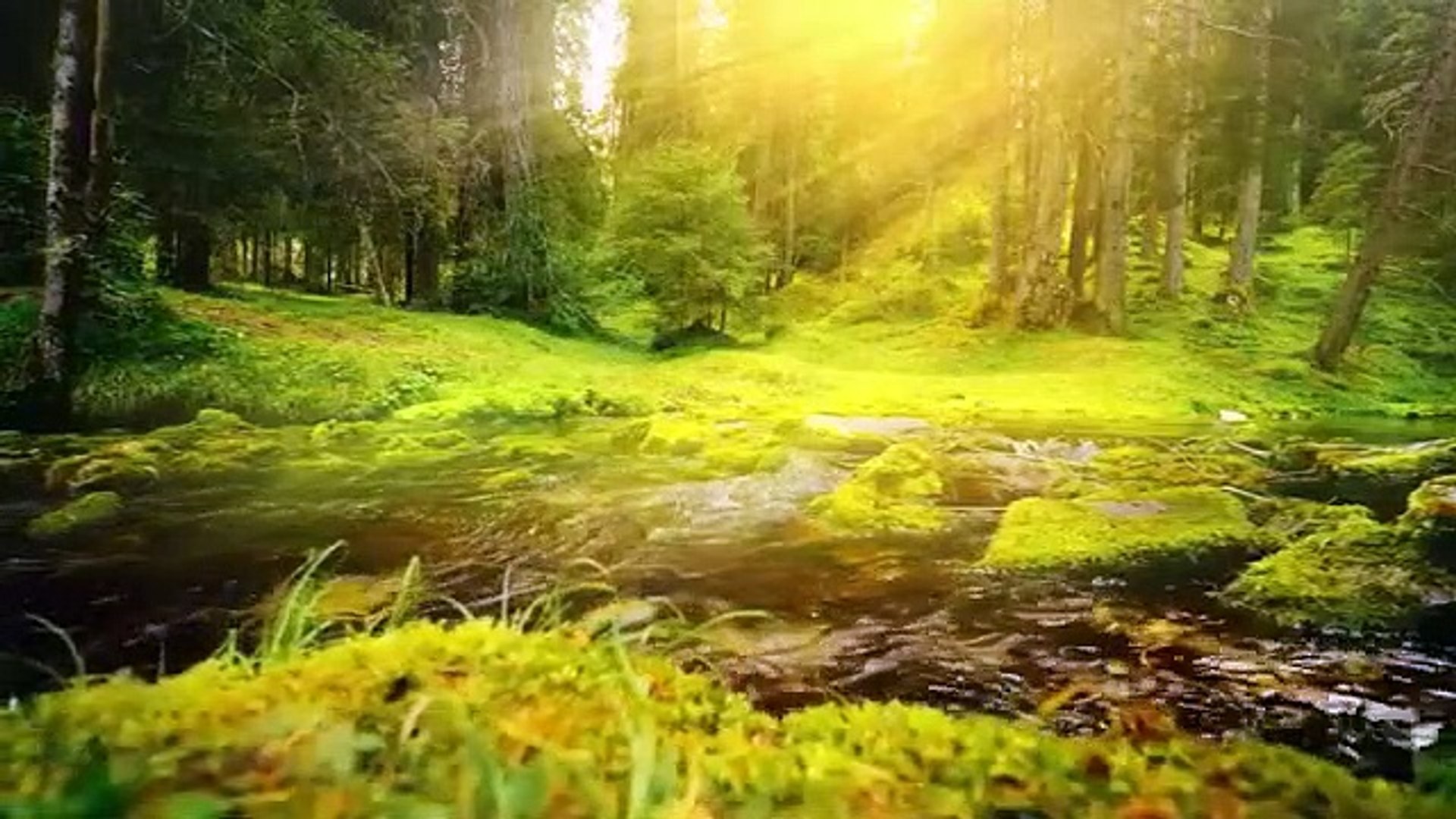 Relaxing Music Beautiful Piano Music, Background Music, Sleep Music