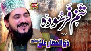Tanam Farsooda Jan Para - Zulfiqar Ali Hussaini Late