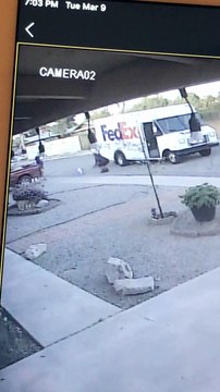 FedEx Driver Takes Dog From Property and Drives Off