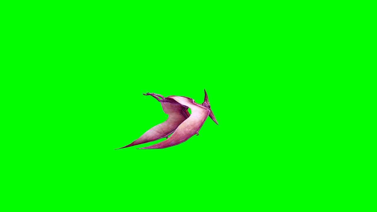 FLYING DINOSAUR PTERODACTYL Green Screen 4K 60FPS ULTRA HD