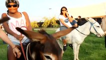 SHAKIRA — Shaki - The Donkey Race | (SHAKIRA: ‎LIVE FROM PARIS BERCY / ON 13TH AND 14TH JUNE 2011) | PALAIS OMNISPORTS DE PARIS-BERCY
