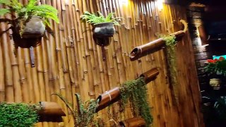 Bamboo Biryani Vlog