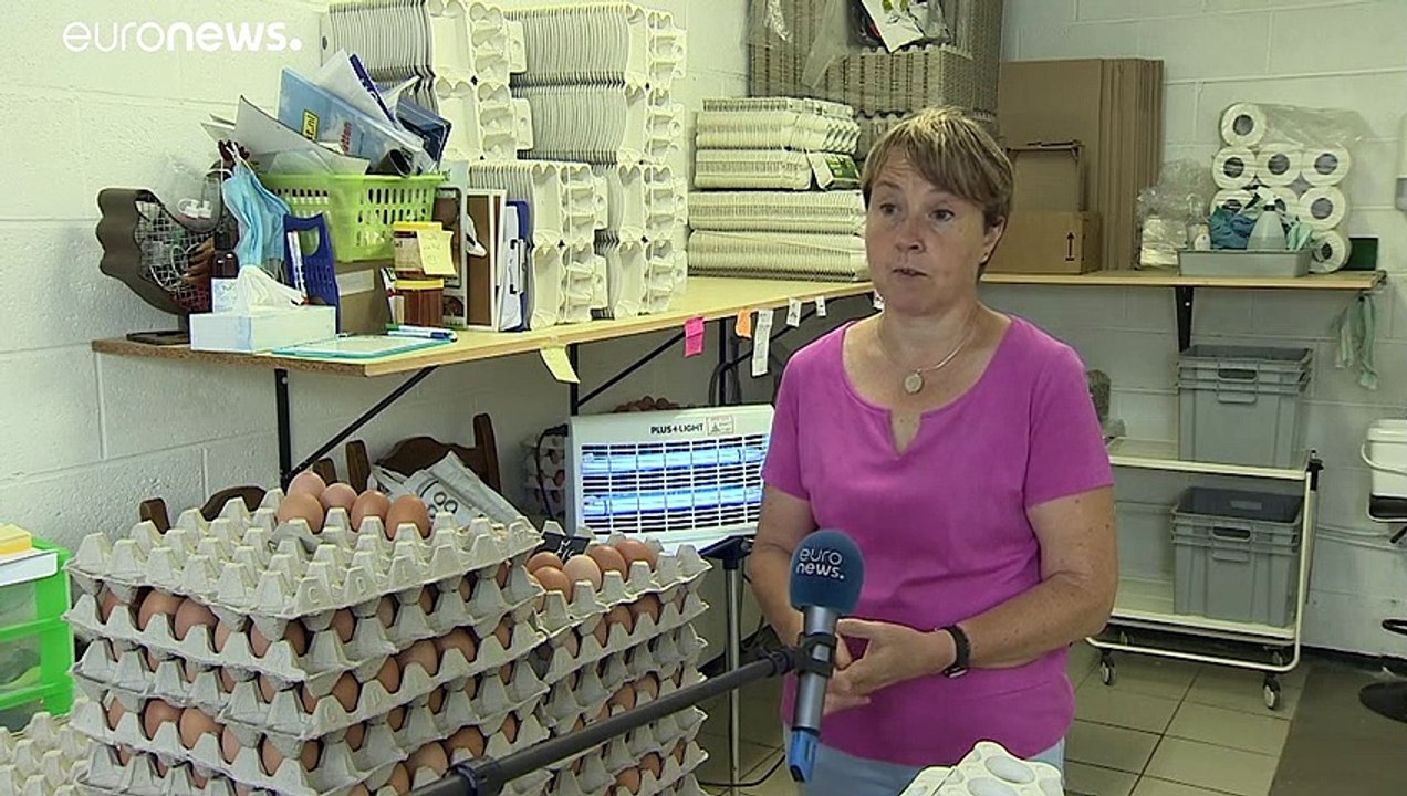 EU eco-agriculture reforms are 'not worth it', say Belgian farmers