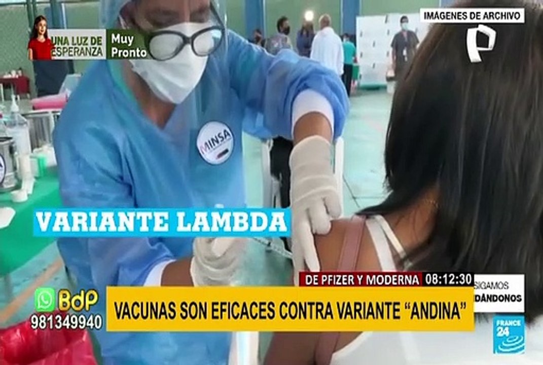 Vacunas de Pfizer y Moderna son efectivas contra la variante andina, según estudio