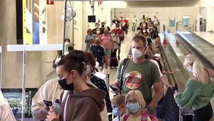 Fake COVID vaccine certificates sold on dark web for €150