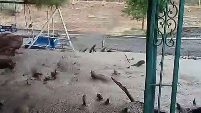 Flash Flood Devastates Home