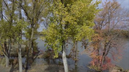 This Missouri Wine Region Dreams of Becoming the Midwestern Napa Valley