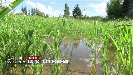 24H sur BFMTV: les images qu'il ne fallait pas rater ce jeudi - 08/07