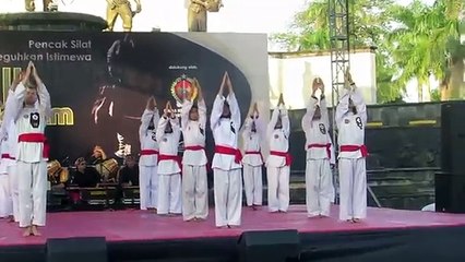 Martial Arts Demo Shows Typical Methods of Learning PD Silat