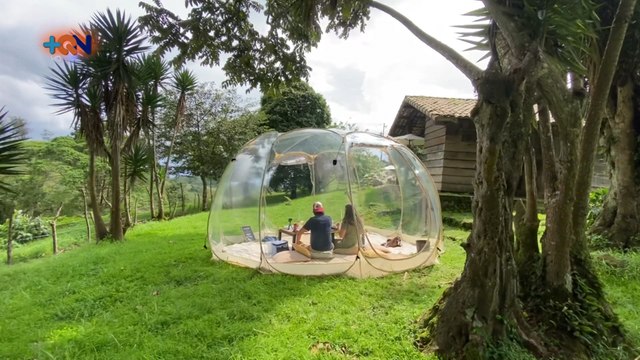 mqn-disfrute-de-un-picnic-seguro-en-la-montaña-080721