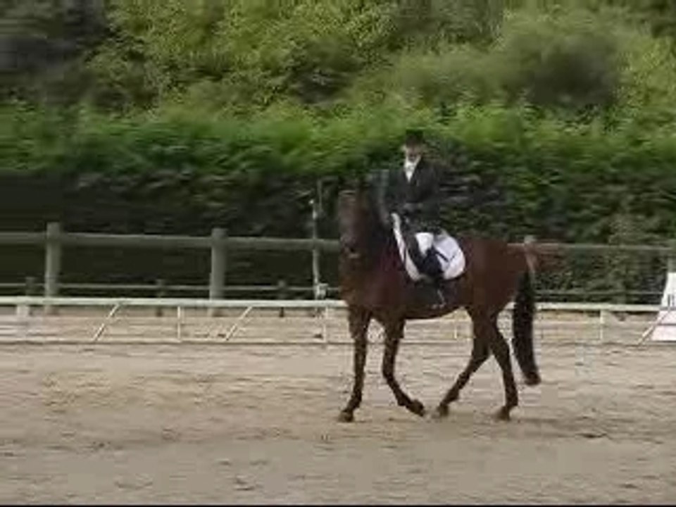 Pompadour 2007_0001