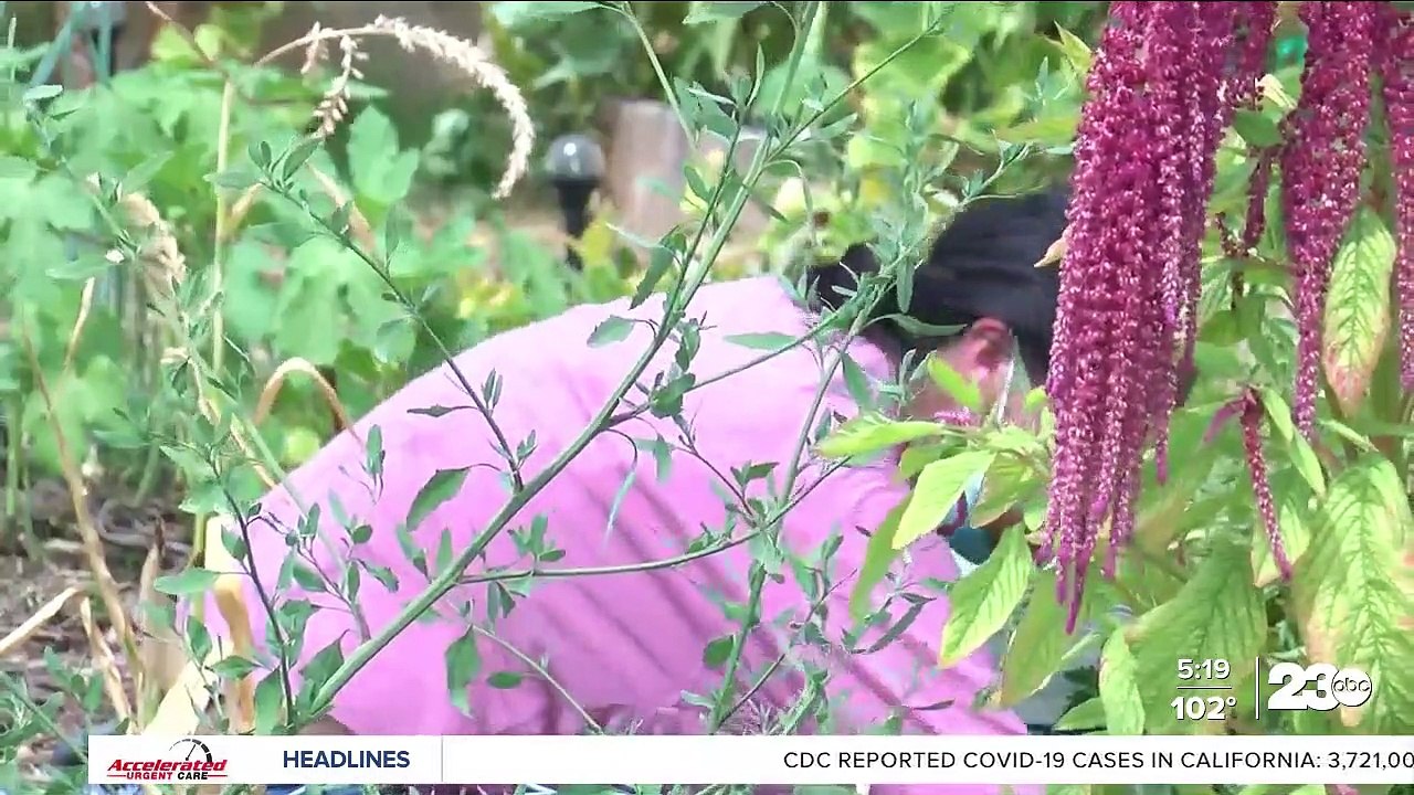 Neighbors come together to help community garden