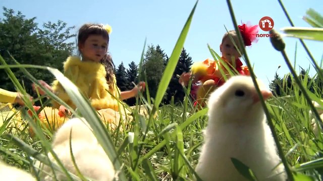 Picături Muzicale - Cea Mai Scumpă