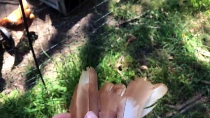 How To Make A Bow From Bamboo