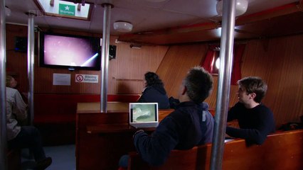 Colossal Squid + 生命博物馆(发现)