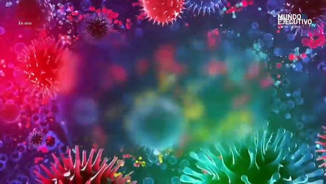 Las Noticias con Alberto Vega: Revelan video de hermano de AMLO recibiendo dinero