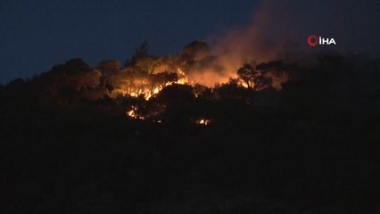 Foça'daki yangın saatler sonra kontrol altına alındı