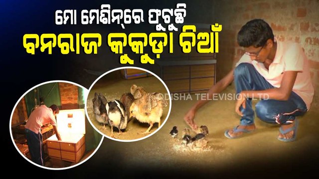 Special Story | Youth In Titlagarh Makes Incubator At Home To Hatch Chicken Eggs