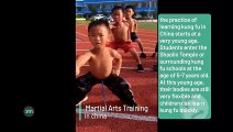 Tough Martial Arts Training for Young Students in China