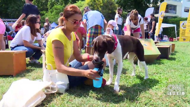 Son dakika haberi: Hayvanları Koruma Kanunu teklifi, TBMM Genel Kurulu'nda kabul edildi