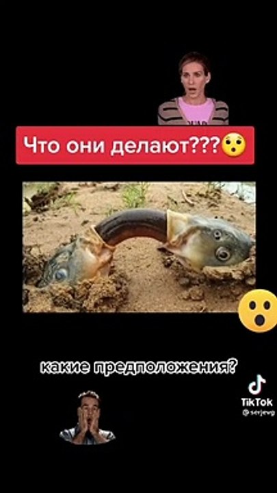 crazy fishing 