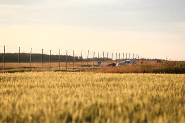 İsveç'te içinde 9 kişinin bulunduğu uçak düştü