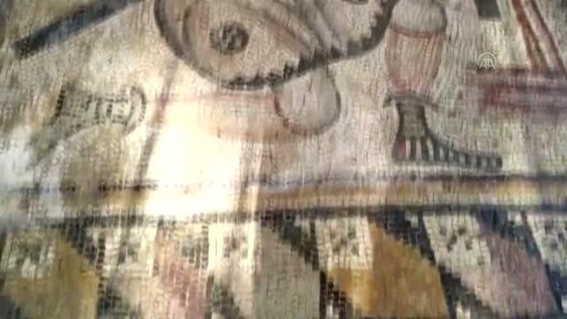 GAZİANTEP - Evin bahçesinde ortaya çıkan tarihi mozaikler müzeye taşındı (1)