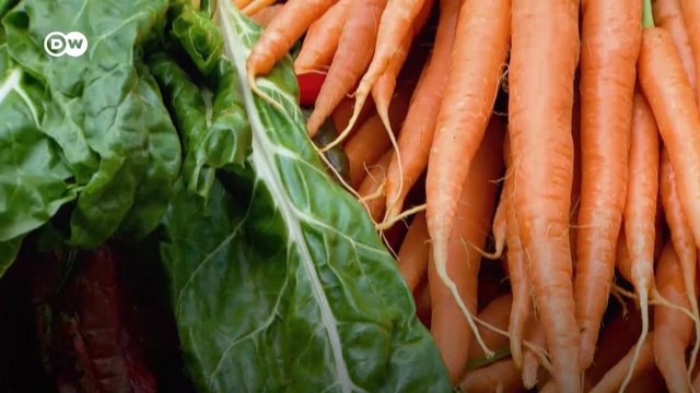 Araştırma: Vejetaryenlerin orta ila şiddetli Covid vakası geliştirme olasılıkları %73 daha az çıktı