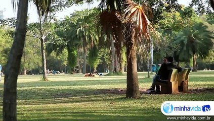 Anemia pode estar relacionada à carência de nutrientes ou perda de sangue