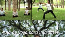 Aula de yoga integral: exercícios para iniciantes