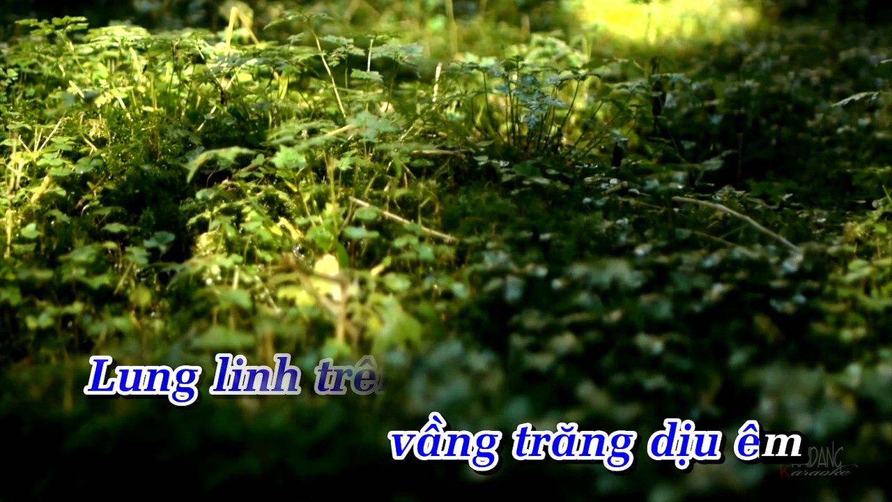 Chiec Vong Cau Hon - ACM