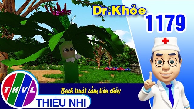 Dr. Khỏe - Tập 1179: Bạch truật cầm tiêu chảy