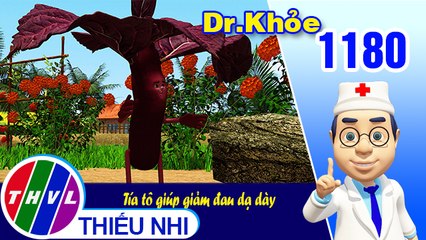 Dr. Khỏe - Tập 1180: Tía tô giúp giảm đau dạ dày